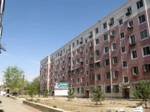 五塔寺,小平米,采光好,地铁口