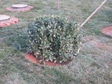 满五唯一 南北通透 居住安静 诚心出售 靠谱签约