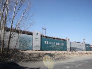 阳光楼层国标两居南北通透精装修