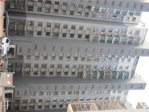 仁宝新居2室1厅南