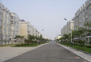 县府街植物园金富小区阳光五楼停车方便近附院