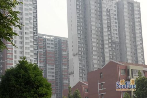 整租·秀兰城市美居东区 1室2厅 南/北