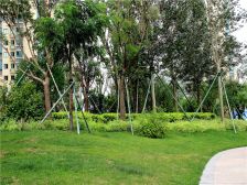 恒大名都中间楼层 落地窗好房出售