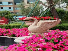 恒大名都 4室2厅 南 北