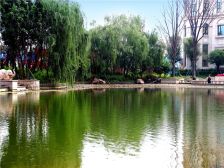 急售 恒大名都 精装修大平层 楼 王位置9楼东户带车位