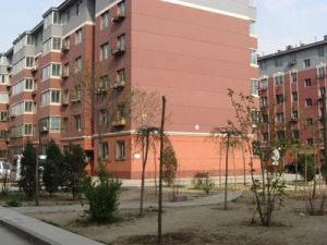 双阳卧飞机户型 国标三居室 全天采光 建议看房联系我