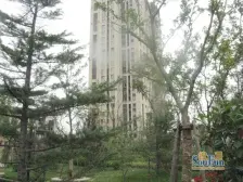 金地澜悦中间楼层,小区南排,采光无遮挡,带车位