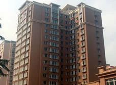 金山小区东区 房主诚心出售南北通透 位置好楼层好