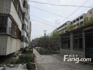风筝协会宿舍2室2厅南北