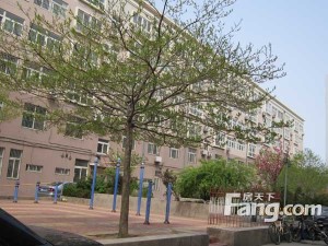 鲁伟家园3室1厅南北