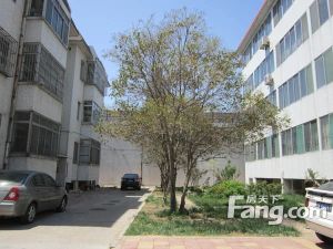 新华近四室两厅两卫H户型环保局宿舍单位房物业好