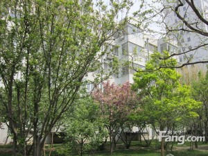 北海路单位房新华近 精装小两居 楼层好 停车方便