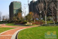 心海湾 5室3厅 南