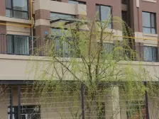 格局楼层好视野宽阔采光充足,万科物业