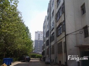 财政局小区,单位房,小区静谧,居住人群好