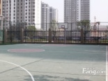 篮球场实景图（2013-07-07）
