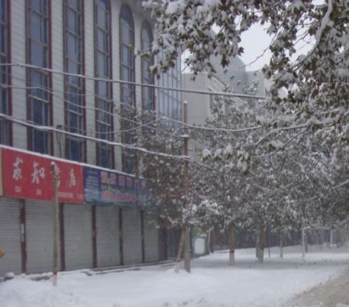 四明街小区1室1厅1卫南朝向850.00元/月出租