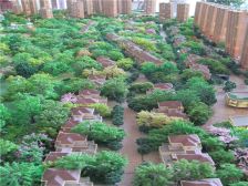 锦尚国际 4居室 中间楼层 采光视野号 随时可以看房