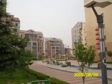 龙族骏景 非顶楼 两室南边通透带草房 随时看