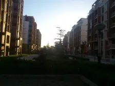 南山世纪名园四期 5室3厅 南 北