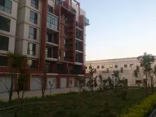 世纪花园三期步梯1居室步梯3楼。