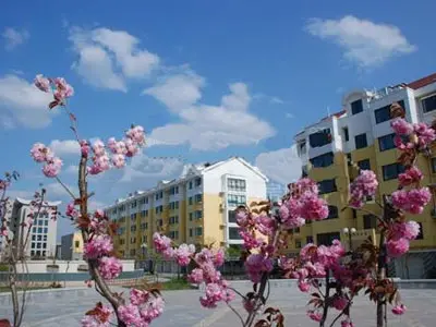 桃源御景