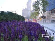 国滨馆 1室1厅 南 北