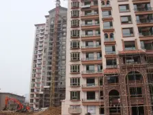 桑园路 电梯房 采光亮堂 精装修 拎包入住