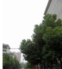 涂北新村2室1厅南