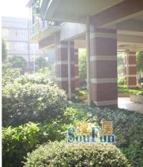 优质单位房视野宽阔采光充足。满五不唯一