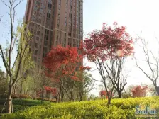 海马公园D区 3室2厅 南 北