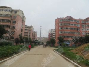 崇文名都3室1厅南北