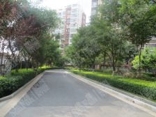 金茂康橋華居皇營東區2室1厅南北