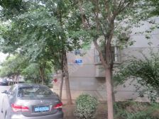 光明街小区1室1厅南