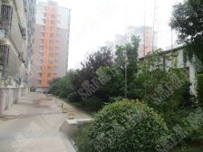 一楼带大院子,挑高复式,精装修,带车位储,采光充足