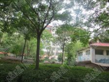 出门新世纪广场,前边妇幼儿童医院,交通便利