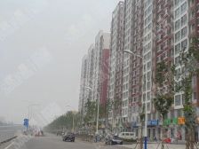 丹桂苑洋房 ;十五中东校园, 急售 方便看房 。