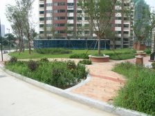 顶复加阁楼,带露台,带车位小棚,满二