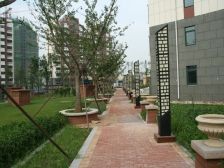 海晟花苑 6室2厅 南 北