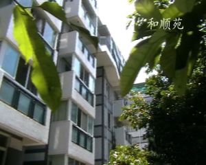 和顺苑5室2厅东南