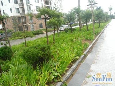 海悦花园3室2厅2卫东南北朝向2200.00元/月出租