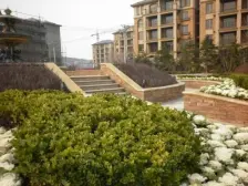 诺维溪谷大开间两室一厅精装修拎包即住