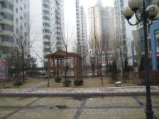 盟科时代 6室三卫大复式 业主包更名 看房方便