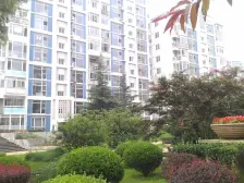 日式装修 保持好 干净整洁 不挑剔 光线好 方便看房