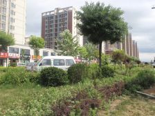 南北通透单价低交通便利配套齐全