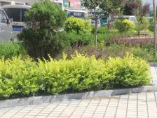 芝阳城 联排别墅 带院子,带车库,带健身房