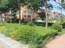 水清木华 毛坯别墅 可随意装修