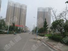 杨柳国际新城B区 3室2厅 南 北