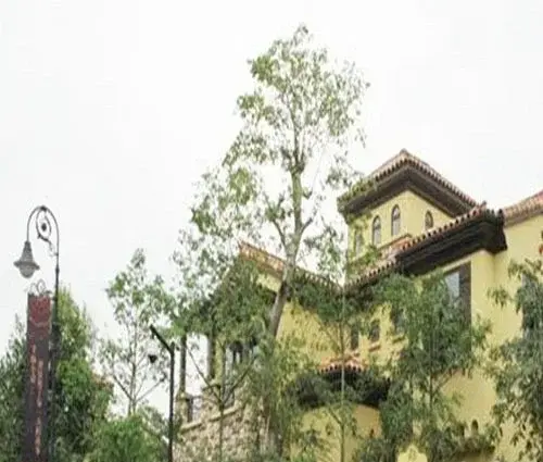 小琅环壹号