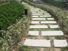 蓬莱阁脚下登州府第别墅 带院子 高档社区 小资生活